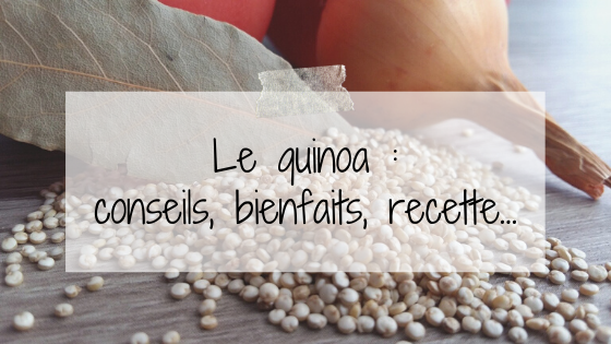 Le quinoa : bienfaits, conseils, recettes follow sur
